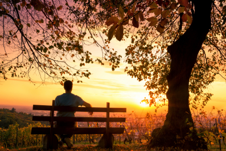 Bild-Nr: 12107441 Enjoying the sunset on a bench Erstellt von: Smileus