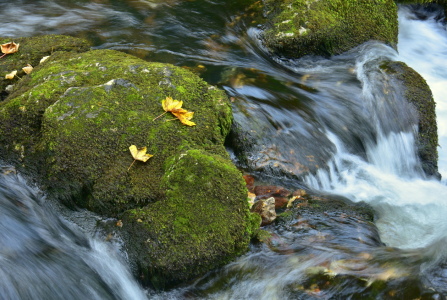 Bild-Nr: 12115569 am Fluss Erstellt von: GUGIGEI