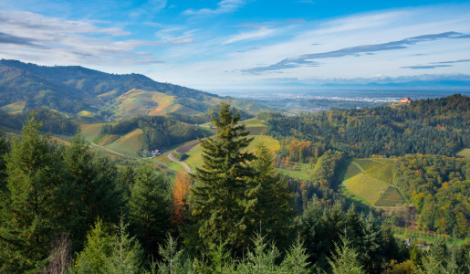 Bild-Nr: 12115897 Renchtalblick Erstellt von: KundenNr-327281