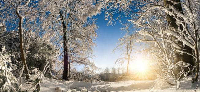 Bild-Nr: 12117767 Verzauberte Winterlandschaft mit Sonne Erstellt von: Smileus