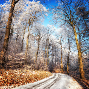Bild-Nr: 12118161 Winterlandschaft mit verschneiter Straße Erstellt von: Smileus