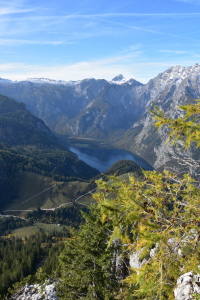 Bild-Nr: 12118364 Blick auf den Königssee Erstellt von: GUGIGEI