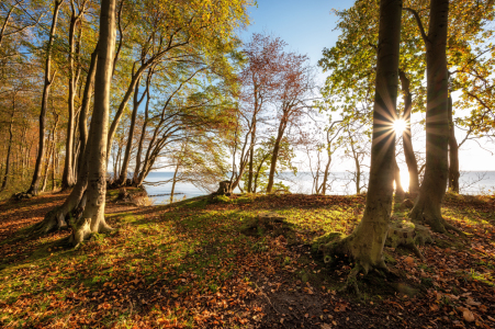 Bild-Nr: 12118906 Lichtweg an der Ostsee Erstellt von: Nordbilder