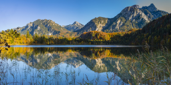 Bild-Nr: 12119261 Schwansee und Neuschwanstein Erstellt von: Walter G. Allgöwer