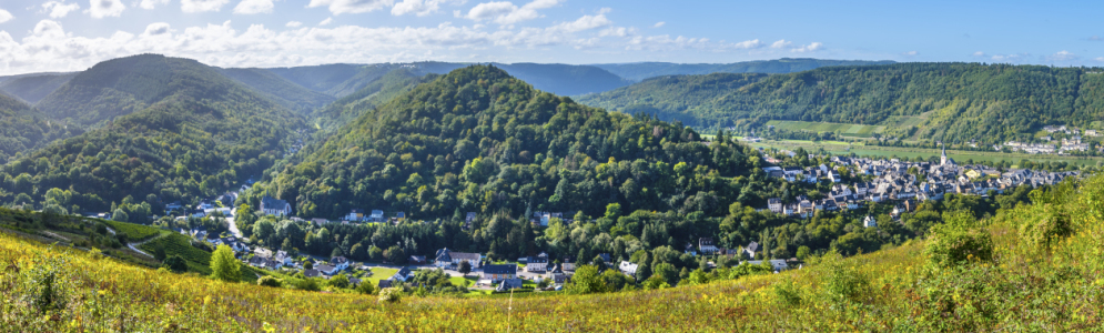 Bild-Nr: 12121853 Mosel und Täler bei Enkirch Erstellt von: KundenNr-160338