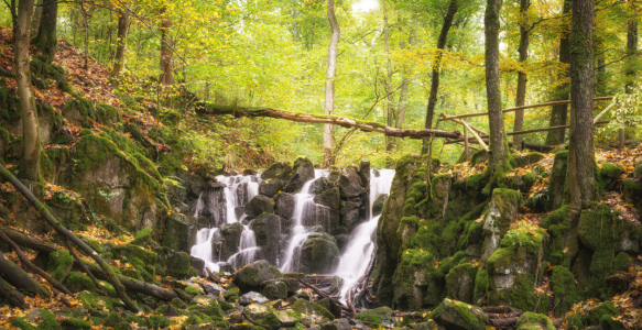 Bild-Nr: 12122507 Wasserfall im Märchenwald Erstellt von: luxpediation