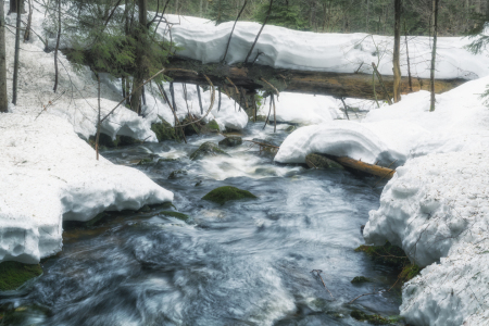 Bild-Nr: 12124634 Schnee im Bayerischen Wald Erstellt von: luxpediation