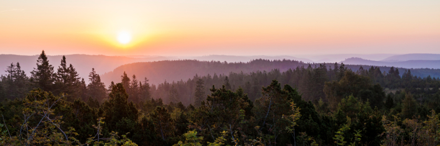 Bild-Nr: 12126520 Sonnenaufgang am Schliffkopf im Schwarzwald Erstellt von: dieterich