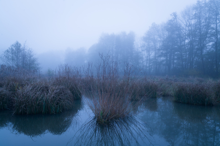 Bild-Nr: 12127844 Mystische Moorlandschaft Erstellt von: luxpediation