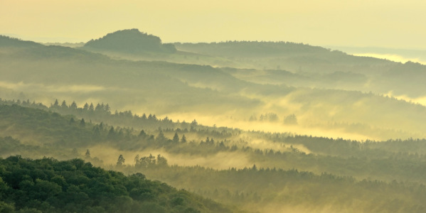 Bild-Nr: 12127852 Nebel Erstellt von: GUGIGEI