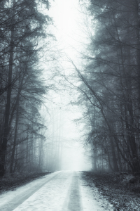 Bild-Nr: 12129660 Weg im Nebel Erstellt von: luxpediation