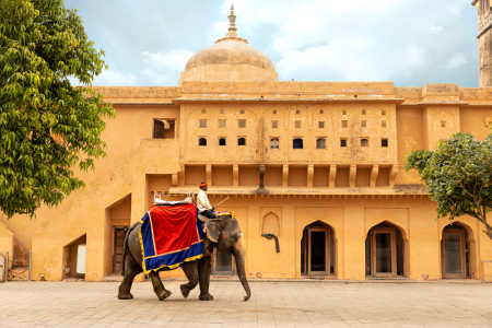 Bild-Nr: 12131293 Elefantentaxi im Fort Amber in Rajasthan Erstellt von: Thomas Herzog