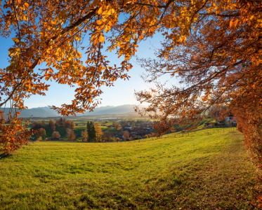 Bild-Nr: 12143393 Herbstlicher Waldrand Aidlinger Höhe II Erstellt von: SusaZoom