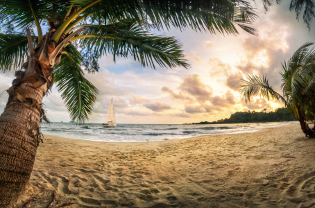 Bild-Nr: 12150434 Tropischer Strand bei Sonnenuntergang Erstellt von: Smileus