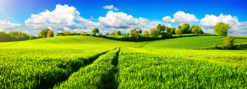 Bild-Nr: 12150438 Panorama mit weiten  Wiesen und blauem Himmel Erstellt von: Smileus