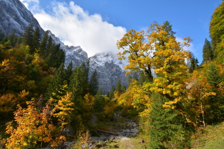 Bild-Nr: 12153907 Herbst Erstellt von: GUGIGEI