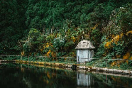 Bild-Nr: 12159377 Wasserreservoir im Wald Erstellt von: KundenNr-352704