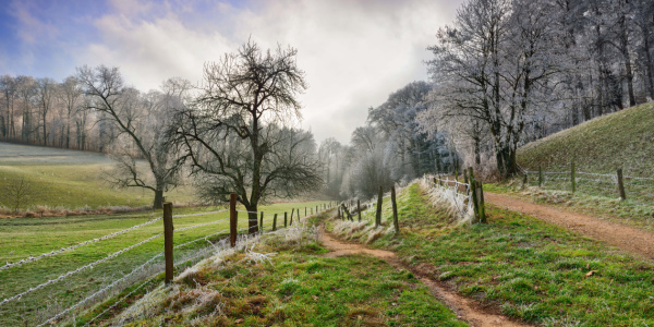 Bild-Nr: 12163271 Wunderschöne gefrorene Landschaft im Winter Erstellt von: Smileus