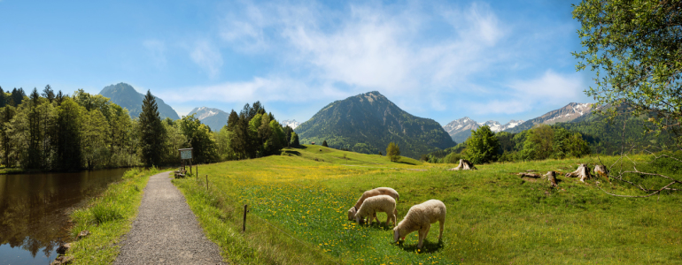 Bild-Nr: 12165591 Allgäuer Alpenidylle im Frühling - bei Oberstdorf Erstellt von: SusaZoom