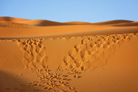 Bild-Nr: 12167571 Spuren im Sand Erstellt von: Rolf Eschbach