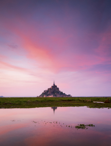 Bild-Nr: 12167927 Sonnenuntergang in pink Erstellt von: KundenNr-332231