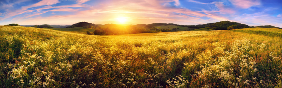Bild-Nr: 12171269 Panorama of a colorful sunset on beautiful meadow Erstellt von: Smileus