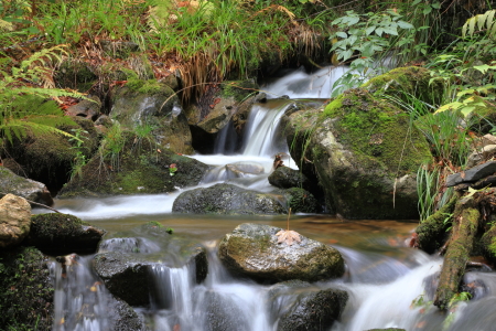 Bild-Nr: 12174361 Bergbach im Herbst Erstellt von: digidias