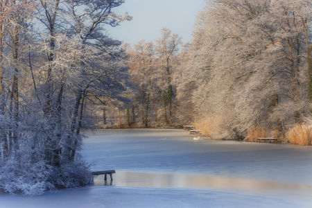 Bild-Nr: 12174539 Winter Morning Erstellt von: PassionPhotography