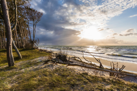 Bild-Nr: 12178029 Darßer Weststrand an der Ostseeküste Erstellt von: dieterich