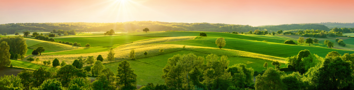 Bild-Nr: 12189537 Hügellandschaft am Abend im Panorama Format Erstellt von: Smileus