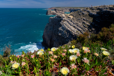 Bild-Nr: 12199716 Küstenlandschaft an der Algarve Erstellt von: DirkR
