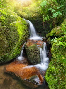 Bild-Nr: 12201080 Bezaubernder kleiner Wasserfall Erstellt von: Smileus