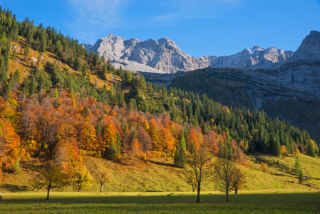 Bild-Nr: 12204389 Herbstlicher Karwendelwald Erstellt von: SusaZoom
