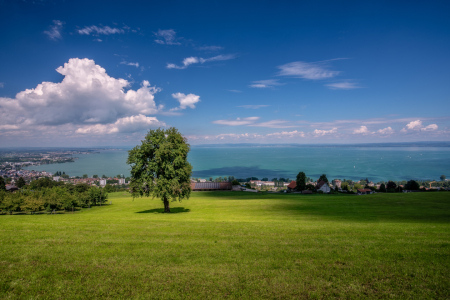 Bild-Nr: 12207125 Bodenseepanorama Erstellt von: Achim Thomae