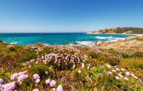 Bild-Nr: 12209179 Sardiniens Küstenlandschaft Erstellt von: Nordbilder