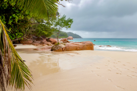 Bild-Nr: 12212565 Seychellen Erstellt von: DirkR