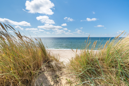 Bild-Nr: 12218862 Dünengras am Meer Erstellt von: eyetronic