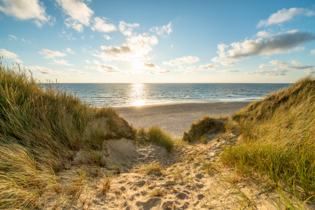 Bild-Nr: 12218863 Sonnenuntergang am Dünenstrand Erstellt von: eyetronic