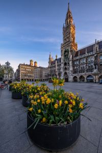 Bild-Nr: 12218991 Marienplatz München Erstellt von: Achim Thomae