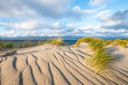 Bild-Nr: 12219255 Dünenstrand Erstellt von: eyetronic
