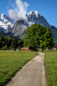 Bild-Nr: 12221504 Frühling in Oberbayern Erstellt von: Achim Thomae