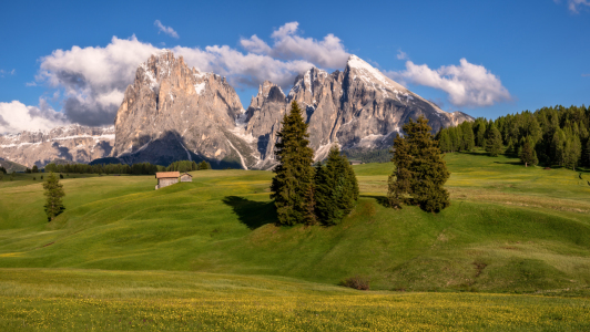 Bild-Nr: 12228204 Frühling auf der Seiseralm Erstellt von: Achim Thomae