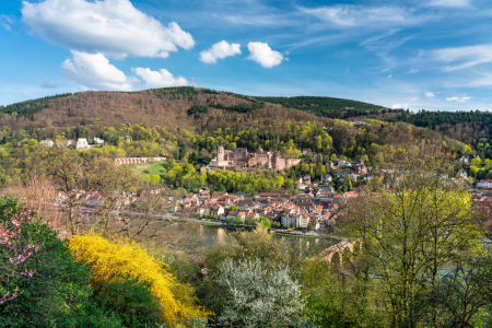 Bild-Nr: 12229260 Heidelberg im Frühling Erstellt von: eyetronic