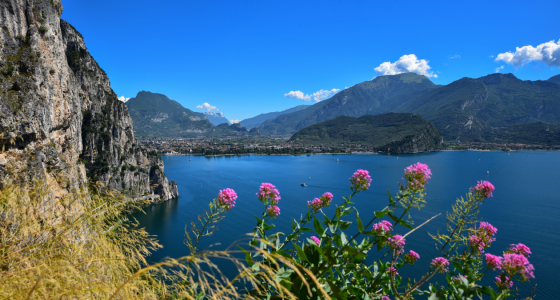 Bild-Nr: 12231831 Steilufer am westlichen Gardasee Erstellt von: SusaZoom