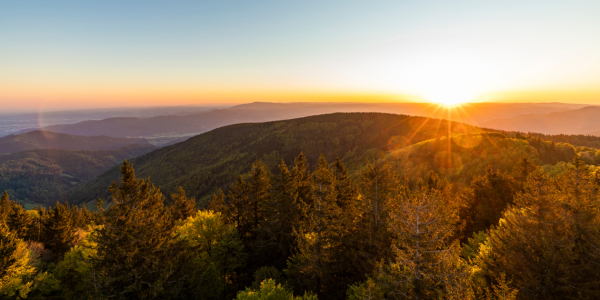 Bild-Nr: 12241359 Blick vom Schauinsland im Schwarzwald Erstellt von: dieterich