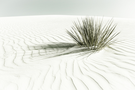 Bild-Nr: 12243101 DÜNEN White Sands National Monument - Vintage Erstellt von: Melanie Viola
