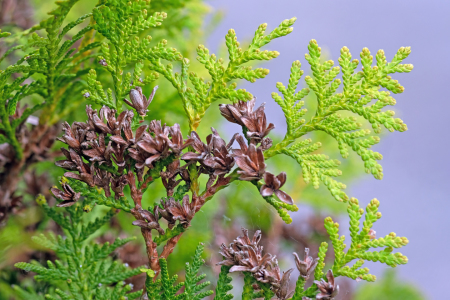 Bild-Nr: 12243905 Herbstidylle Erstellt von: Ostfriese