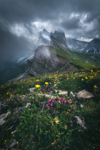 Bild-Nr: 12244354 Dolomiten Seceda mit Geisler Gruppe bei Regen Erstellt von: Jean Claude Castor