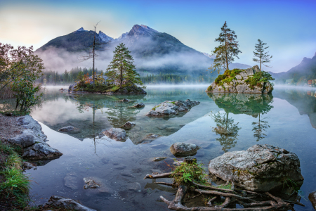 Bild-Nr: 12246678 Morgennebel am Hintersee Erstellt von: FotoDeHRO