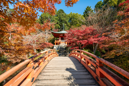 Bild-Nr: 12252970 Daigo-ji Tempel im Herbst Erstellt von: eyetronic